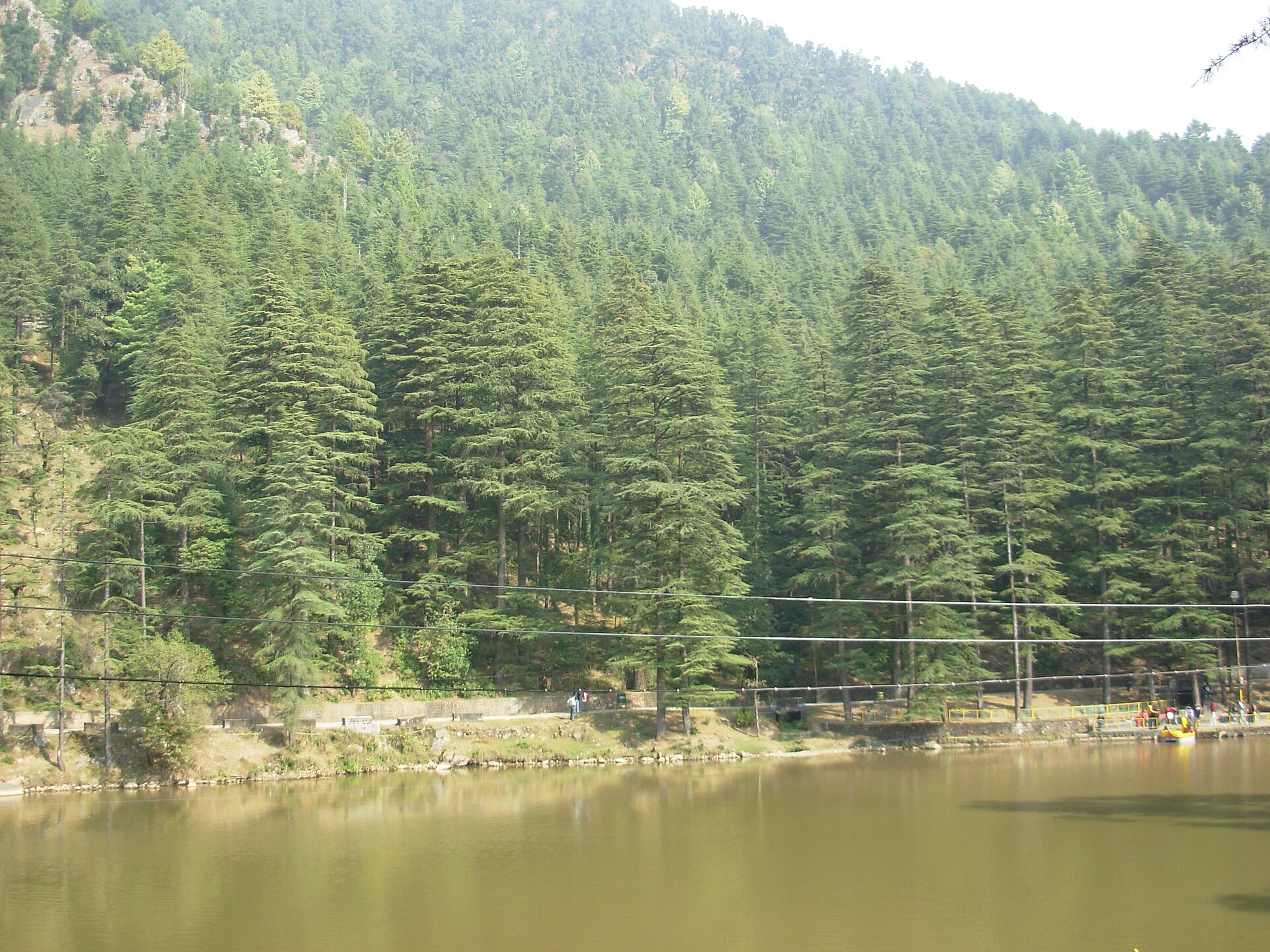 Dal Lake near McLeod Ganj, Dharamshala, surrounded by deodar forest