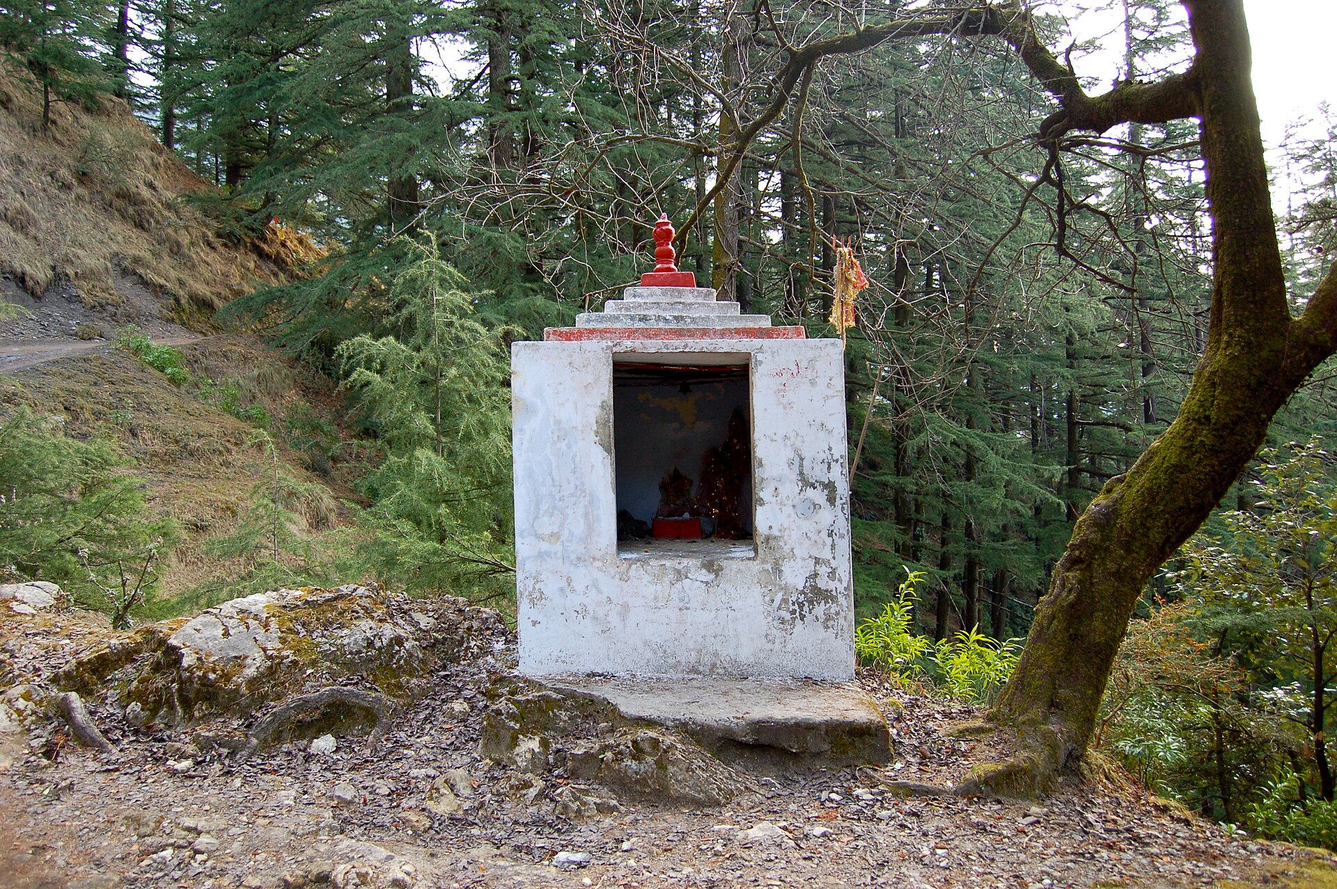 Dharamkot village in the forests above McLeod Ganj