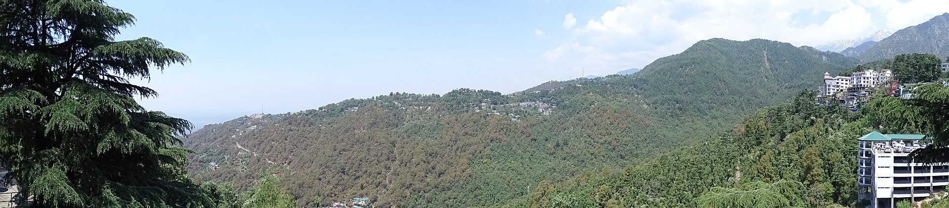 View over McLeod Ganj, home of the Dharamshala International Film Festival