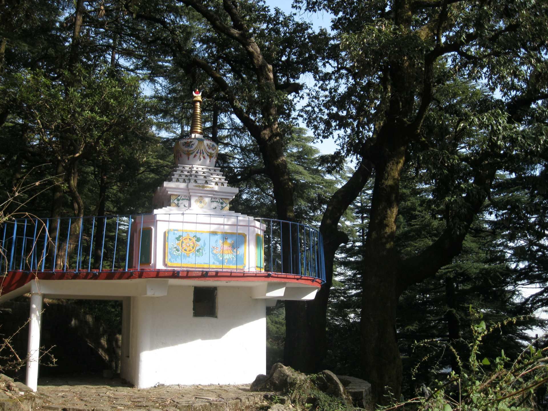 Quiet meditation setting in the forests above Dharamshala