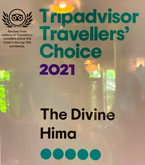 The Divine Hima boutique hotel, Dharamshala
