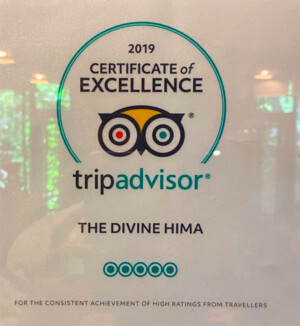 The Divine Hima boutique hotel, Dharamshala